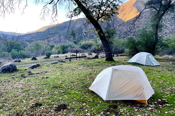 Tuolumne Basecamp